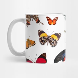 Beautiful Butterflies Mug